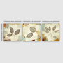Wallity P3134 Conjunto de 3 Pinturas Decorativas en Lienzo Multicolor